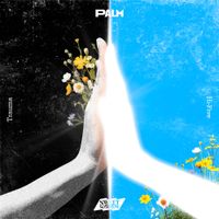 Sweet Sorrow - PALM