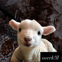 nervouspro - ovrk!ll lamb remix