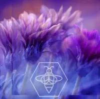 Royal Jelly - Queen
