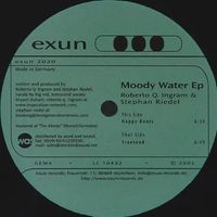 Stephan Riedel - Moody Water Ep