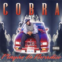 Cobra - Playaz In Paradise