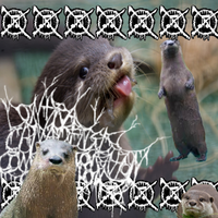 Lontra Canadensis Commemoration Coalition - Lontra Canadensis Commemoration in the Xibalba