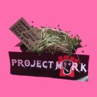 Project Mork - Sweep This Under the Backburner