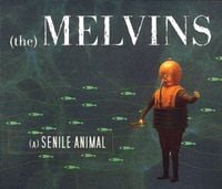 Melvins - (A) Senile Animal
