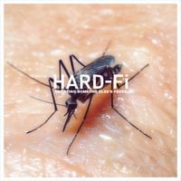 Hard-Fi - They Ain't Your Friends