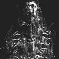 No/M&aacute;s - No Peace