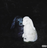 Nate X - BUNNIES
