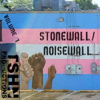 Various Artists - STONEWALL/NOISEWALL Volume 1