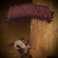 Floccinaucinihilipilification - Todger Lodger
