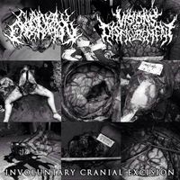 Visions Of Disfigurement - Involuntary Cranial Excision