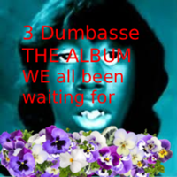 The 3 Dumbasses - 3 Dumbasses The Album