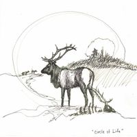Elk Hunter - The Circle of Life