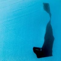 Unwed Sailor - High Remembrance