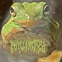 Phyllomedusa - Hate Runs Green