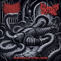 Desecrated Extinction - Split