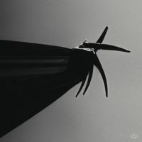 Cenobia - Make Us Whole Again