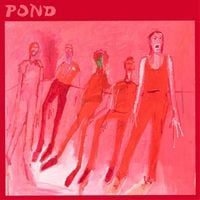 Pond - Terrestrials