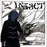 In53ct - birds