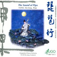 方錦龍 [Fang Jinlong] - 琵琶行 [The Sound of Pipa]