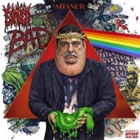 Shaner - Shanerism