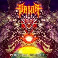 Vanta - Perpetual Selection