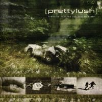 prettylush - Crawling Through the Broken Glass