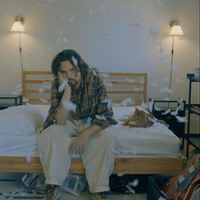 Dosey - pillow fights
