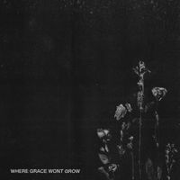 The Good Depression - Where Grace Won't Grow