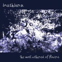 brushburn - The Most Withered Of Flowers