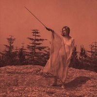 Unknown Mortal Orchestra - So Good At Being In Trouble