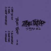 True Fraud - Demo #2