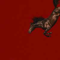 Zeballos - AMOR FIADO