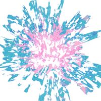 Packed Rich - Morphology