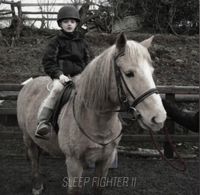Vienna - Sleep Fighter II