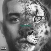 ZAYN - Sideways