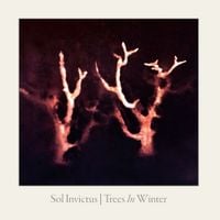 Sol Invictus - Trees in Winter