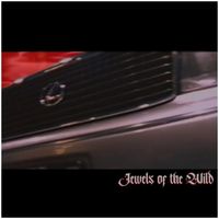 Denny LaFlare - Jewels Of The Wild