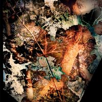 TomloN - !drown Me in <th3 Light__