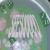 SEES00000 - T00STEP