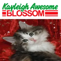 Monte Hills - Kayleigh A. Blossom Album