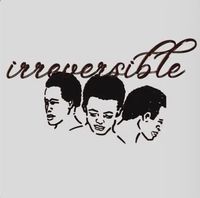 Holistic Neva - Irreversible