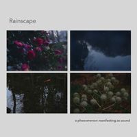 Koji Ishikura - Rainscape