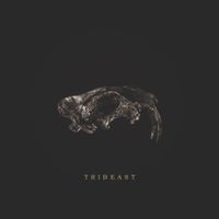 던말릭 [DON MALIK] - Tribeast