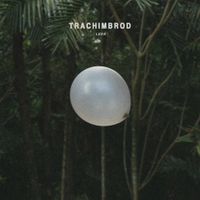 Trachimbrod - Leda