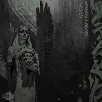 Pushloop - Elysian