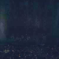 sea + i - ghostly variations