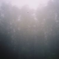 Federica Deiana - Fragments