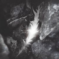 Rapture - Silent Stage