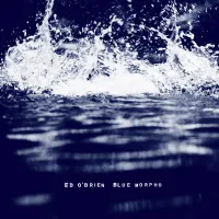 Ed O'Brien - Blue Morpho
