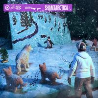 M.I.C - Shamtarctica